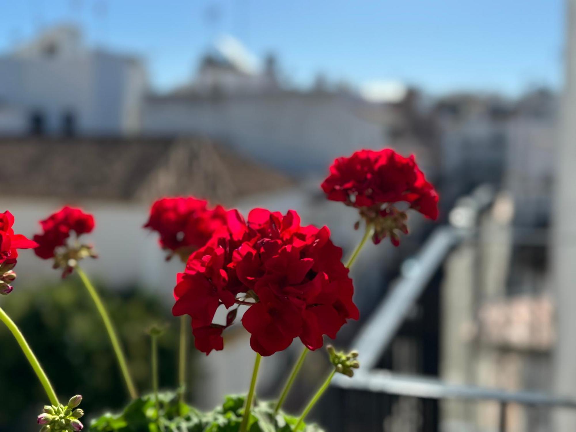 Encantadora Casa En El Corazon De Estepona Buitenkant foto