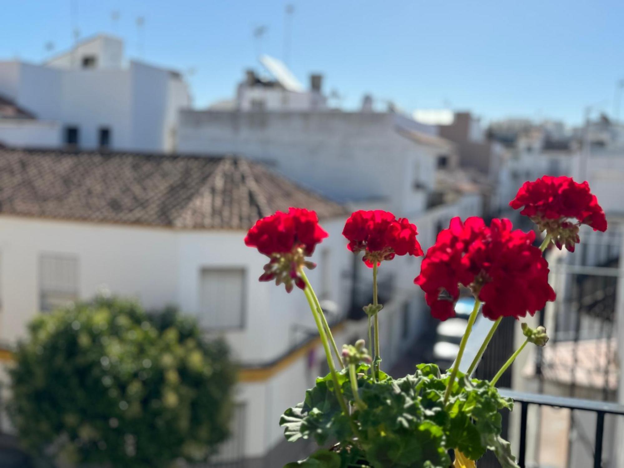 Encantadora Casa En El Corazon De Estepona Buitenkant foto